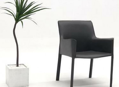 Design Lehn Stühle Polster Ess Zimmer Club Küche Lounge Wohn Möbel Stuhl Sessel